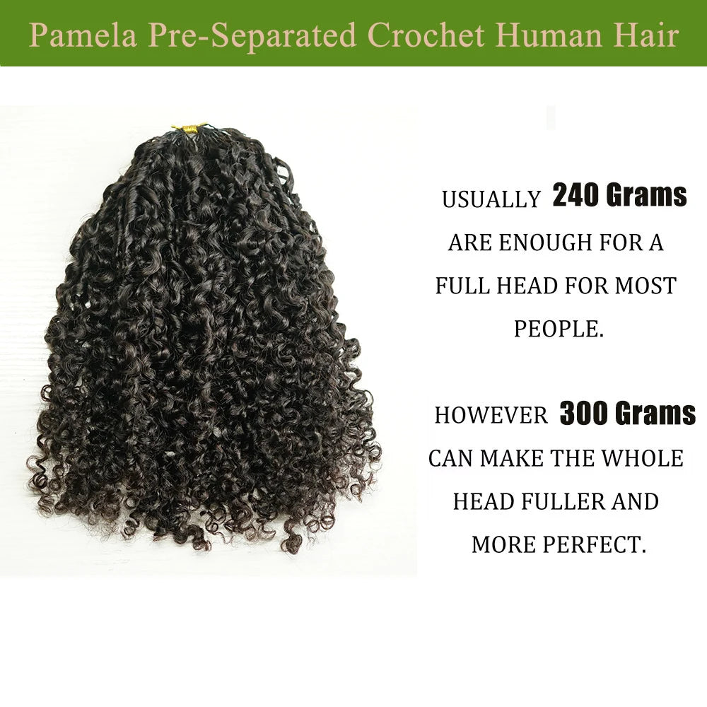 Onzichtbare Afro Kinky Weave – 100% Raw Birmaans Human Hair