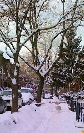 Brooklyn in the Winter