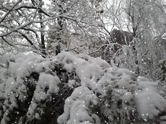 sneeuw in Bedstuy Brooklyn